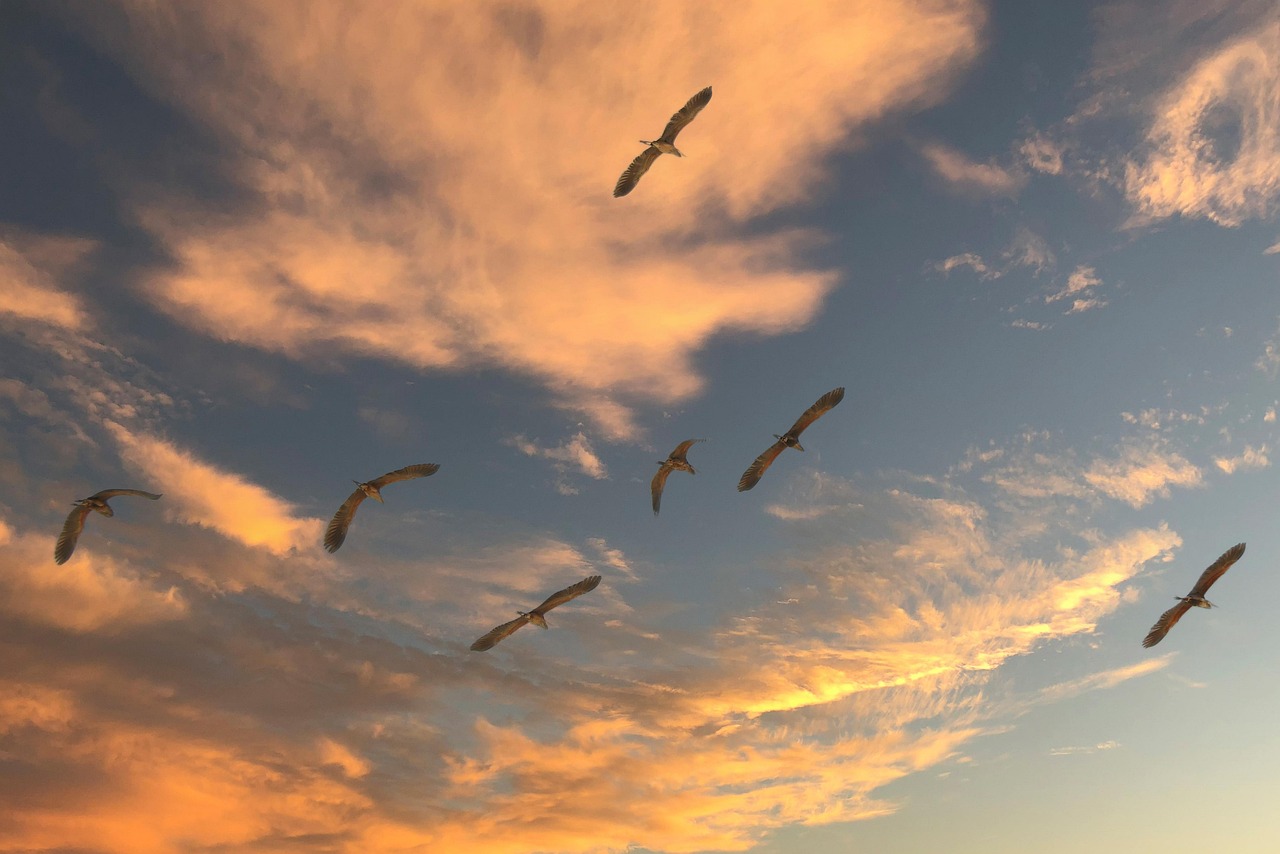 Top 7 Anbieter für ESXi-Migration in München 2026