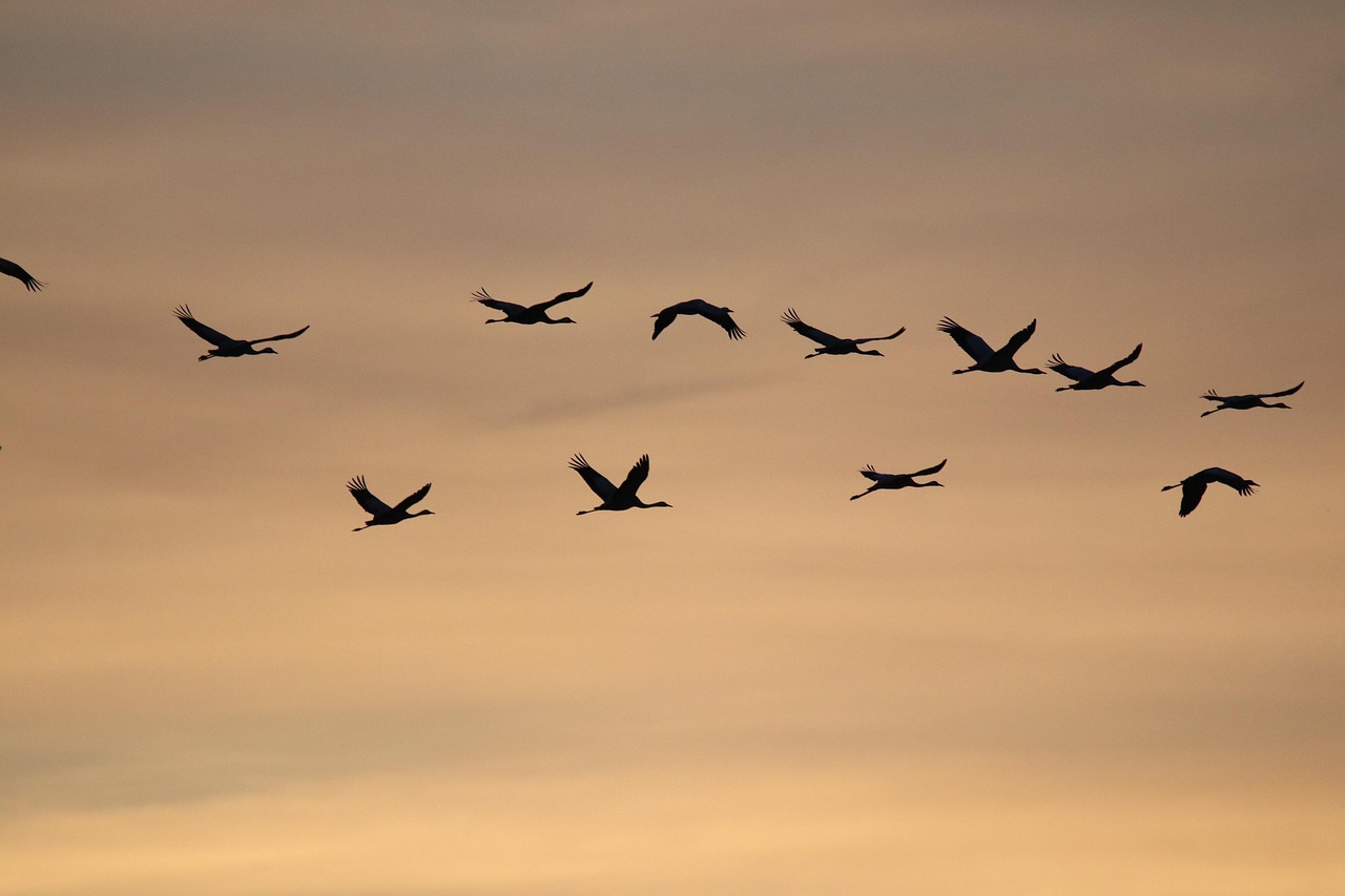 Top 7 Anbieter für ESXi-Migration in München 2026